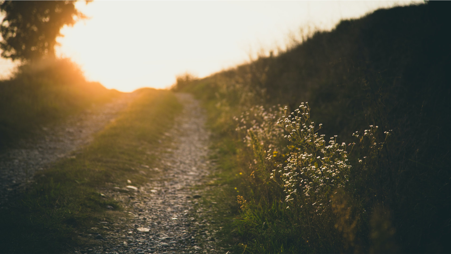 therapeutic-life-story-work-learning-mackillop-family-services